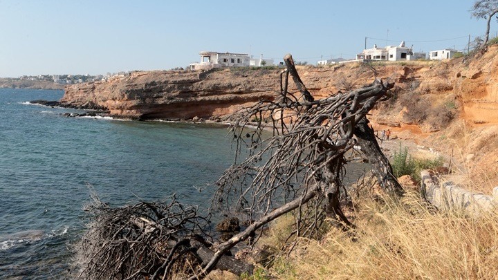 Δίκη για το Μάτι. «Έδεσα τον νεκρό πατέρα μου μαζί μας με το ράσο του και κολυμπήσαμε»