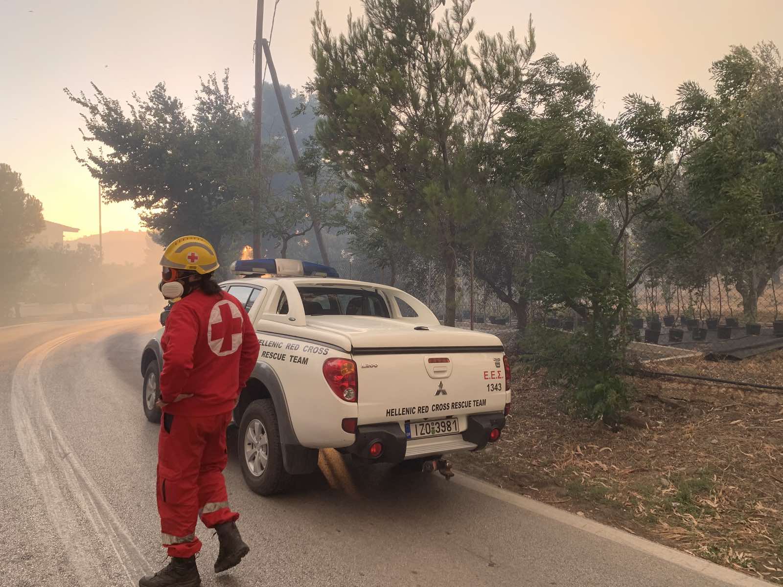 Φωτιά Πεντέλη. Χρήση μάσκας, ενυδάτωση και όχι άσκοπες μετακινήσεις. Η πρόεδρος της Ένωσης Πνευμονολόγων εξηγεί