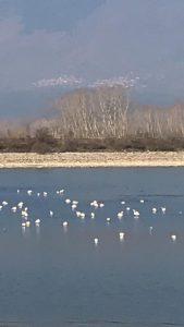 photo_kerkini