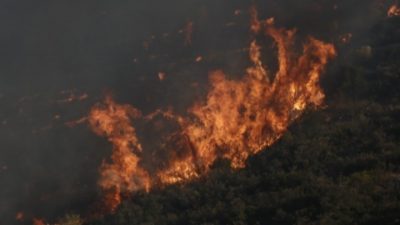 Αποζημίωση 534 ευρώ στους εργαζόμενους στις πυρόπληκτες επιχειρήσεις. Οι δικαιούχοι