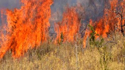 Toυλάχιστον 667 πυρκαγιές εκδηλώθηκαν το δεκαήμερο 17-27/07. Έρχονται βαριές ποινές και πρόστιμα για τους εμπρηστές