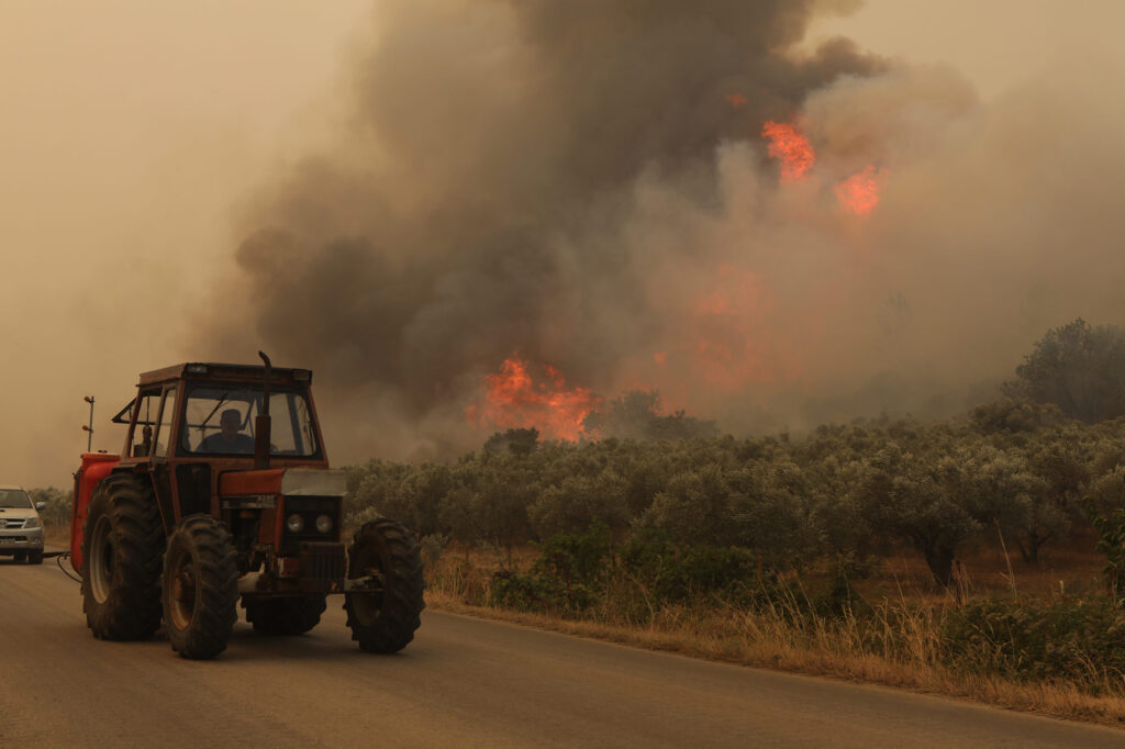 Εντοπίστηκαν 18 απανθρακωμένες σοροί στο δάσος της Δαδιάς. Καίγονται σπίτια στη Φυλή. Μήνυμα εκκένωσης