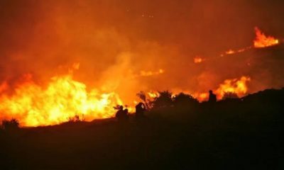 Φωτιά στη Βοιωτία. Νεκρός βοσκός που είχε πάει να σώσει τα ζώα του