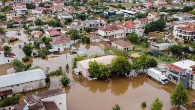 Πάνω από 100.000 τα νεκρά ζώα από τις πλημμύρες. Τι θα γίνει με υγειονομικές ταφές και αποτεφρώσεις
