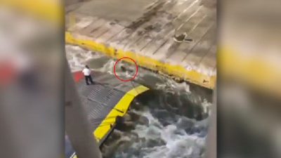 Ποινική δίωξη για ανθρωποκτονία με ενδεχόμενο δόλο στον ύπαρχο που έσπρωξε τον 36χρονο Αντώνη. Δίωξη και στους άλλους