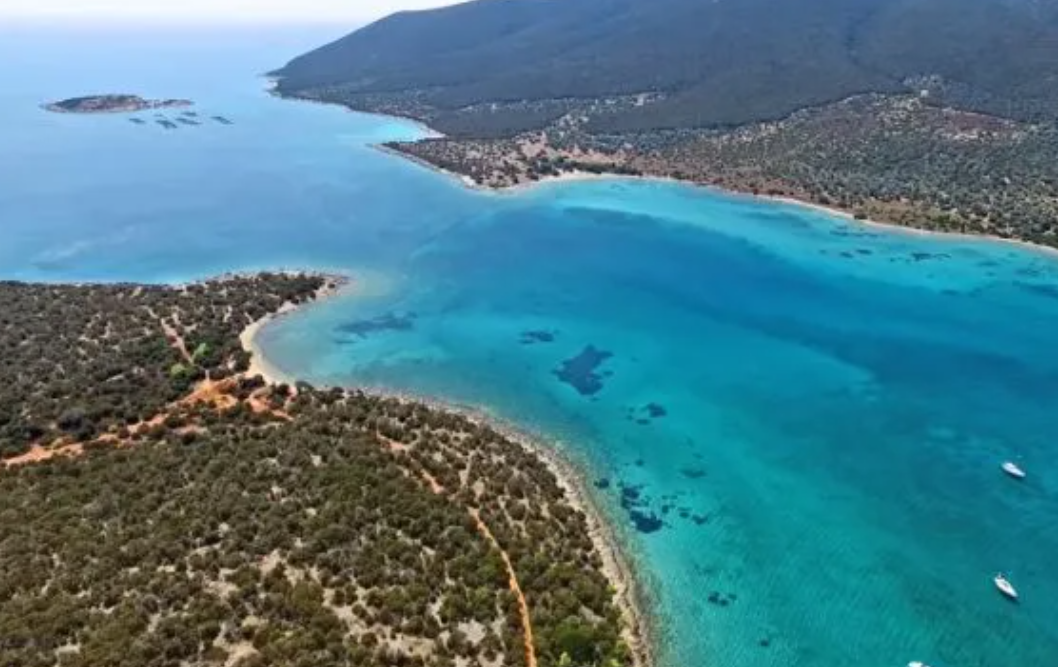 «Η κατάρα των Πεταλιών». Το ιδιωτικό νησί της εφοπλιστικής οικογένειας Καρνέση και ο Αιγύπτιος επιστάτης που τους δολοφόνησε