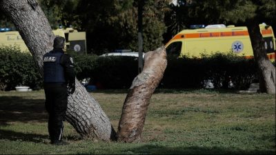 Πυροβολισμοί Γλυφάδα. Σκότωσε την εφοπλίστρια Καρνέση, τον CEO της ναυτιλιακής και έναν καπετάνιο ο Αιγύπτιος δράστης