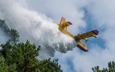 Υπό έλεγχο τέθηκε η φωτιά  σε δασική έκταση στη Λακωνία