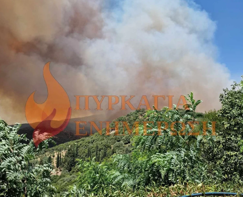 Φωτιές σε Αχαΐα, Αρκαδία, Αργολίδα, Κεφαλονιά. 45 πυρκαγιές από το πρωί. Όλες οι εξελίξεις
