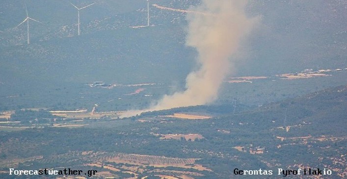 Φωτιά στη Ριτσώνα σε δασική έκταση. Επιχειρούν και εναέρια μέσα