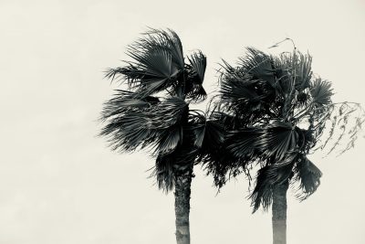 Πτώση της θερμοκρασίας με ισχυρούς ανέμους. Ακυρώσεις πτήσεων στην Κρήτη. Που αναμένονται καταιγίδες