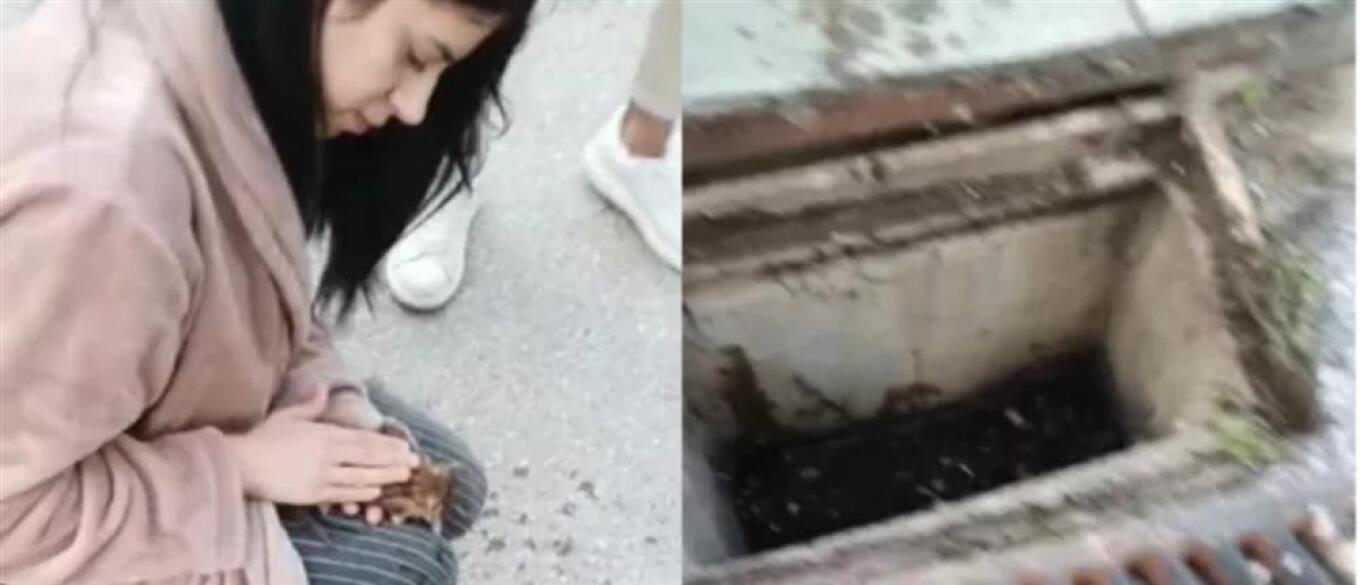 Νεαρή νοσηλεύτρια επανέφερε στην ζωή γατάκι που είχε πέσει φρεάτιο στη Θεσσαλονίκη. «Θα το ξαναέκανα»