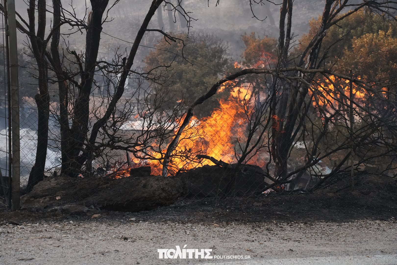 Καίει ακόμα η φωτιά στη Χίο. Μάχη να σωθούν τα Μαστιχοχώρια