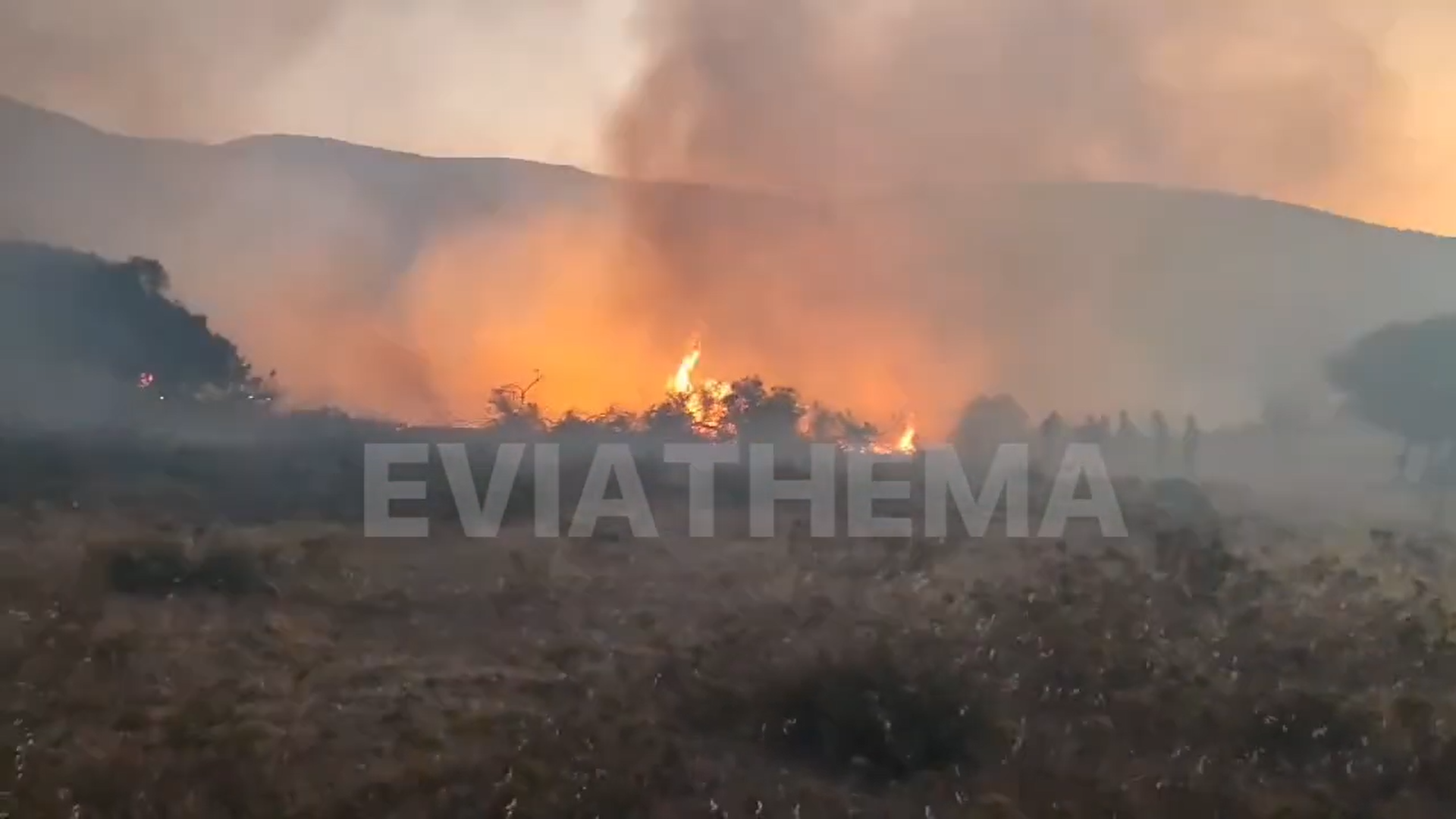 Συνεχίζεται η μάχη με τη φωτιά στα Μεσοχώρια Ευβοίας. Απειλήθηκαν σπίτια, εκκενώθηκαν περιοχές