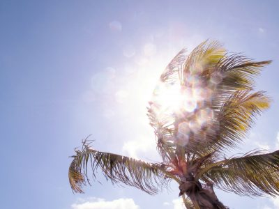 Στους 41 βαθμούς ο υδράργυρος μέχρι την Τετάρτη. Τα 6 μέτρα για τον καύσωνα. Τι θα ισχύσει με το delivery